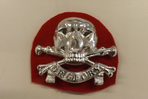 Military badge 17th - military, 17th/21st